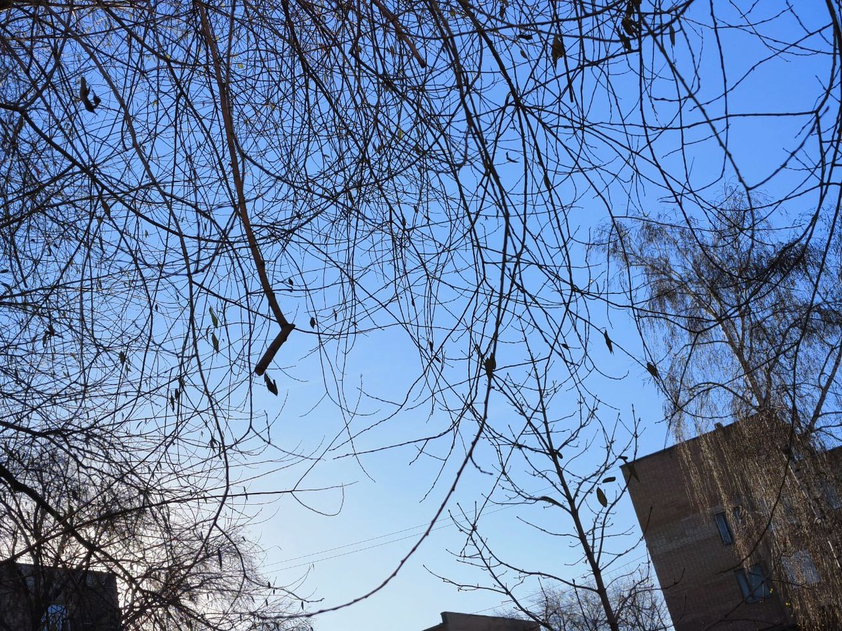 Листайте галерею. Фото автора