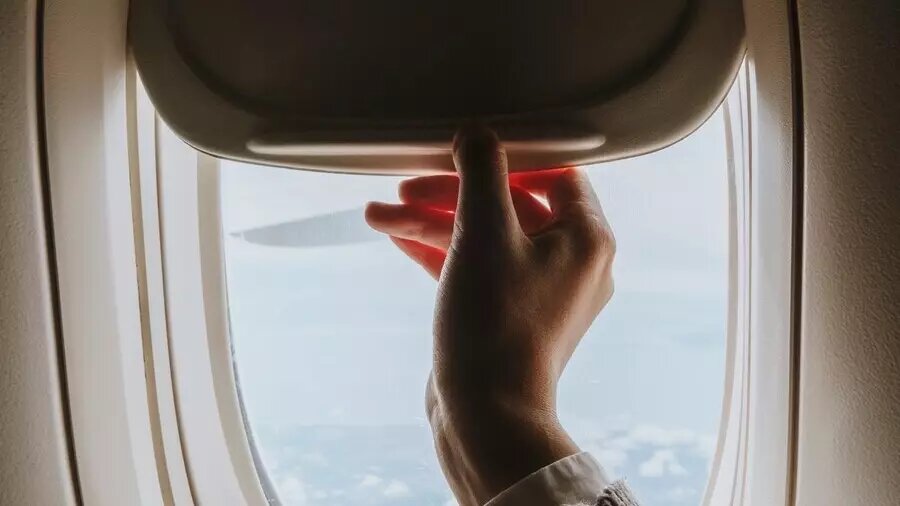     Источник: ru.freepik.com