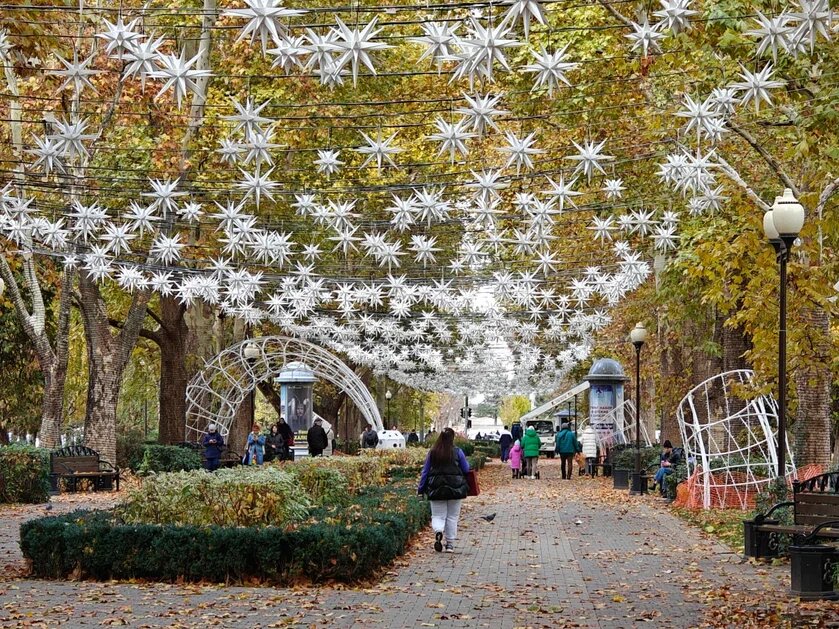    Фото: Юрий Серебренников/BFM Кубань