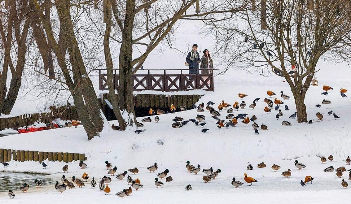     Зимняя Москва. Источник: mos.ru Автор фото: О. Сосницкий