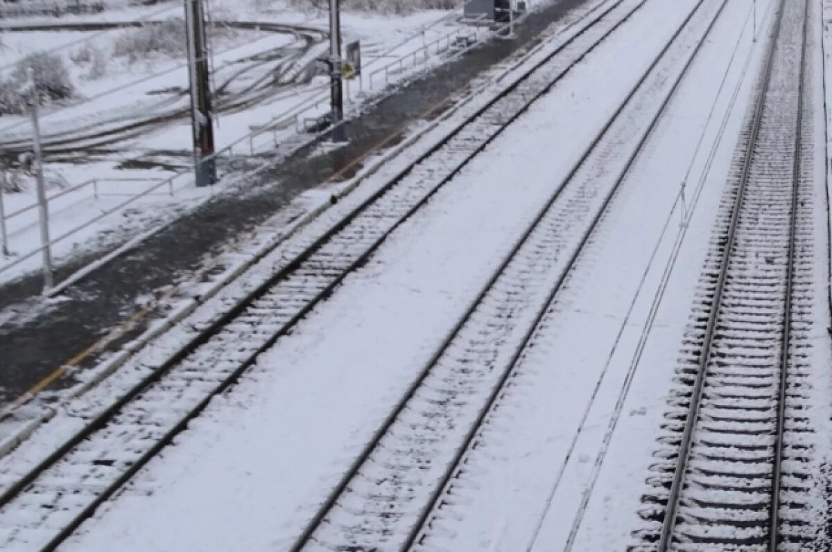    Больше 140 доппоездов пустят в новогодние праздники для нижегородцев