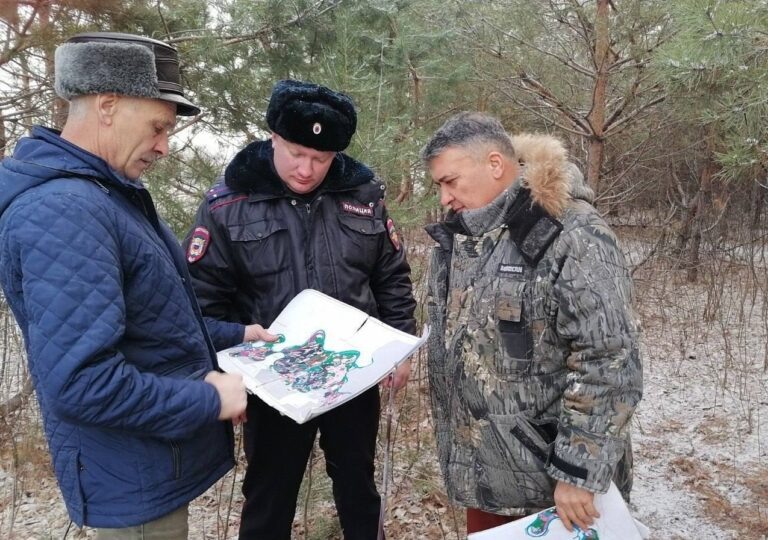    Будут ловить «черных» лесорубов. В Оренбуржье 1 декабря стартует операция «Елочка» Кристина Просвиркина