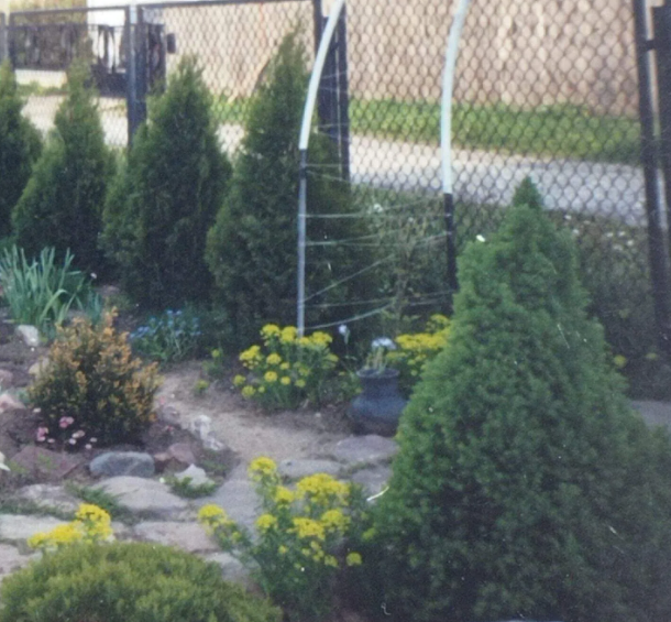 вот они, год 2001