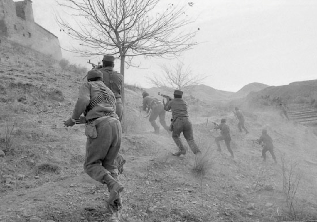 из интернета