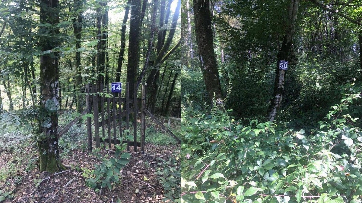    Фото: t.me/proc_23