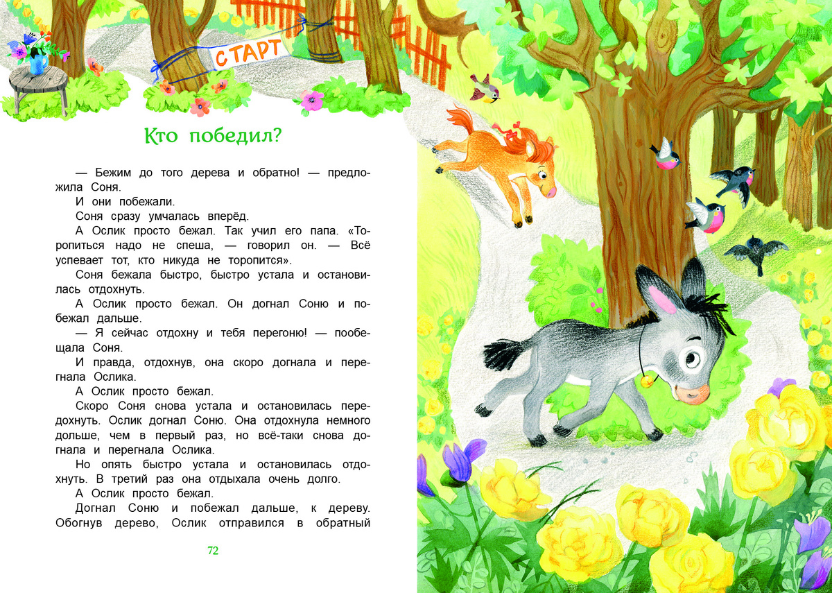 разворот из книги