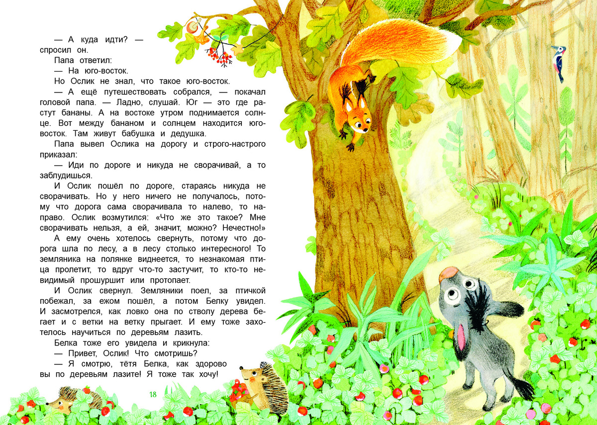 разворот из книги