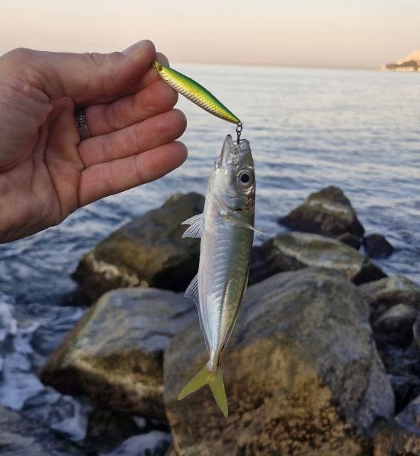 Тройник в заглот на паузе