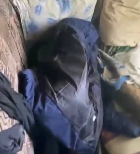    Фото: ГУ ФССП РФ по Омской области