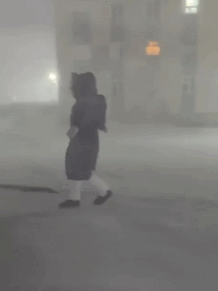    Кадры сняты жителями посёлка Тикси