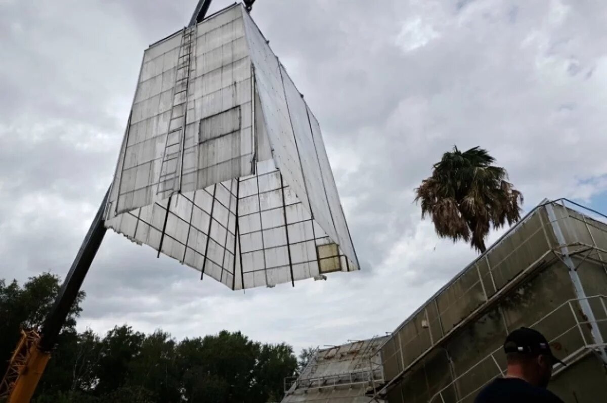    В Ботаническом саду ТГУ установили экран для сбора средств на развитие