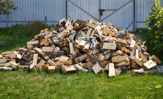 Фото: Telegram, «Дача и огород»