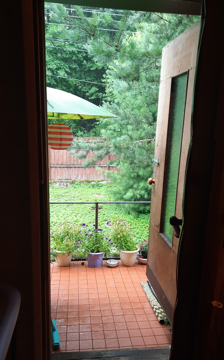 Дача, дождик, вид из комнаты.