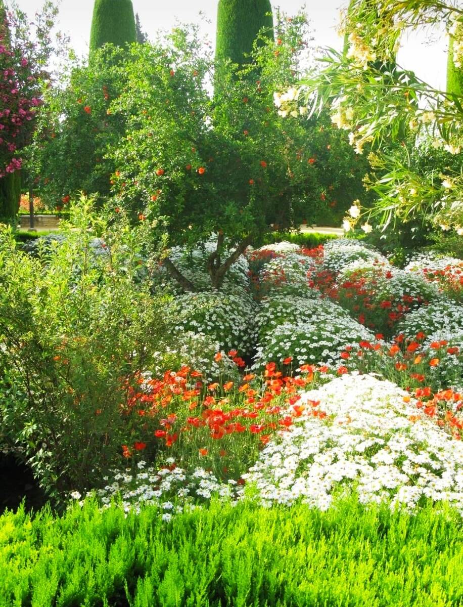 Сон про нового начальника