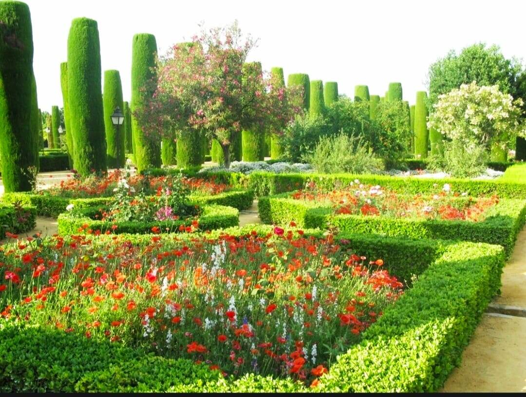 Сон про нового начальника