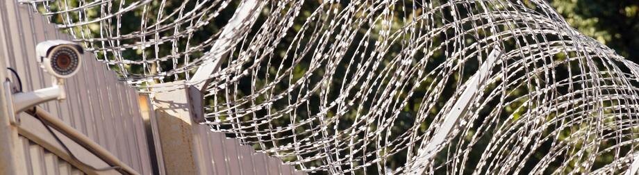    Фото: Сергей Егоров