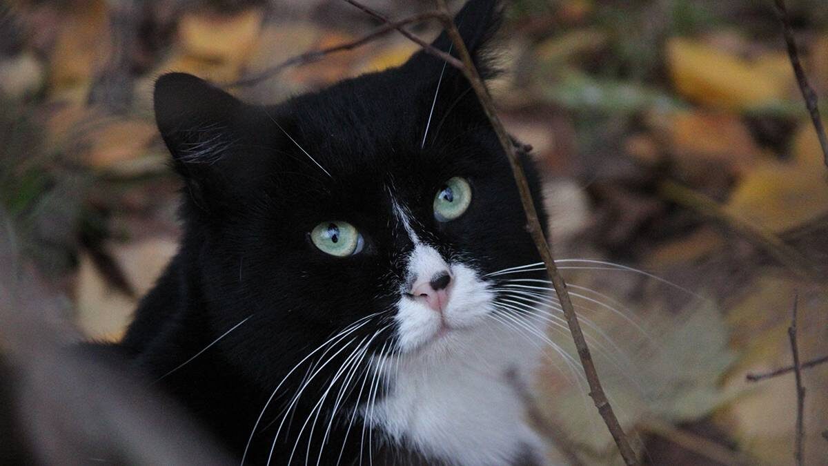    Фото: Мария Хапцова / Вечерняя Москва