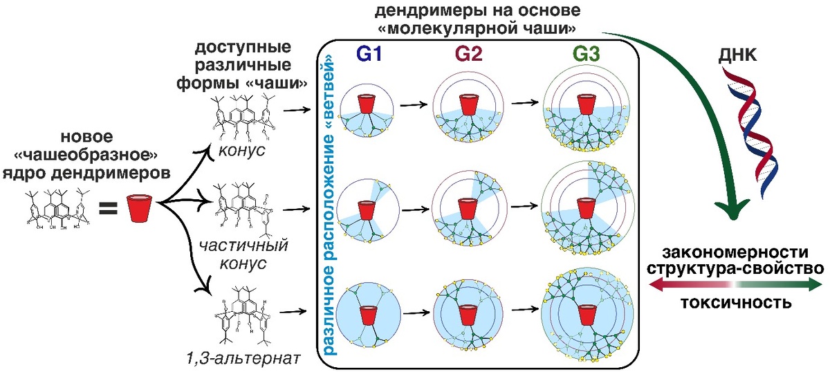 Дизайн дендримеров и их применение. Источник: Mostovaya et al. / Pharmaceutics, 2024