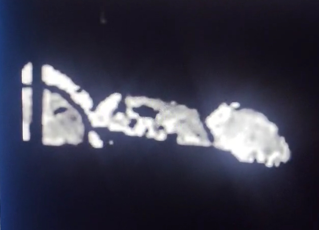 В комментариях люди приводят примеры изображений в тепловизорах различного качества. Так выглядит стадо кабанов в плохом приборе. Следующее фото с другого прибора.