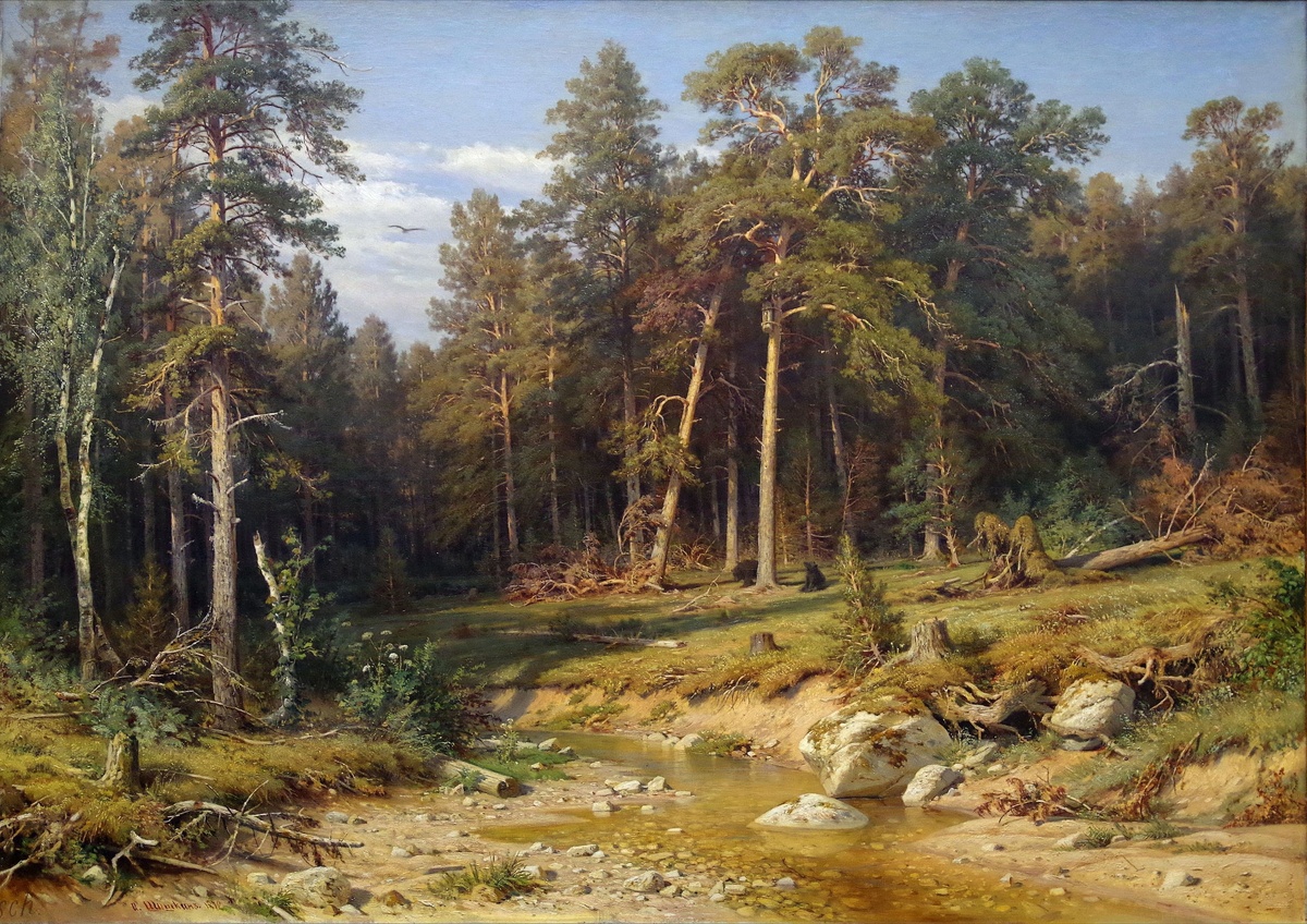 "Сосновый бор. Мачтовый лес в Вятской губернии", 1872 год. Холст, масло. 117 x 165 см