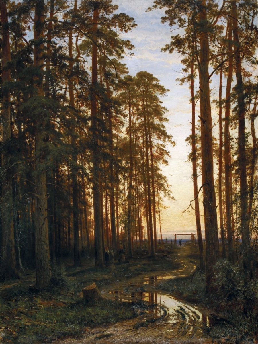 "Вечер в сосновом лесу", 1875 год. Холст, масло. 116 x 87 см