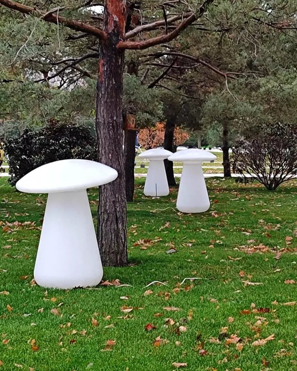     Источник: Телеграм-канал "Парк Галицкого Краснодар"