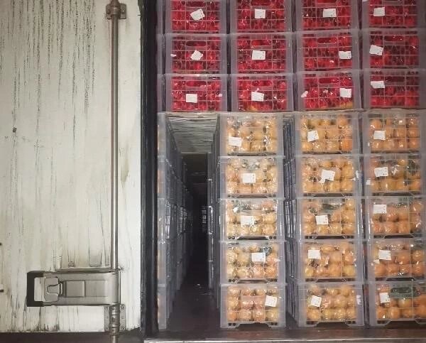 Фото: Уральское межрегиональное управление Россельхознадзора