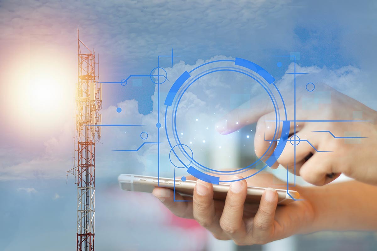    Фото: NMStudio789 / Shutterstock.com