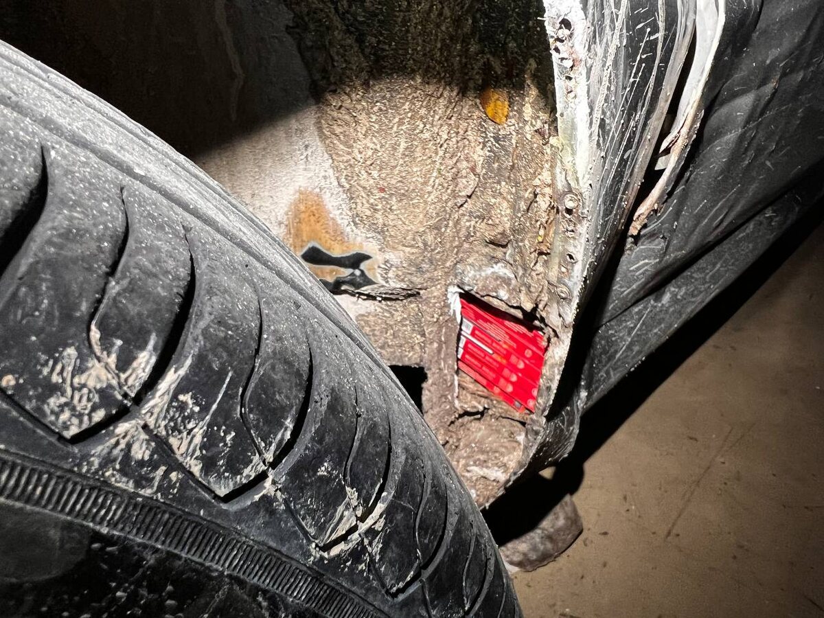    Фото: пресс-служба сочинской таможни