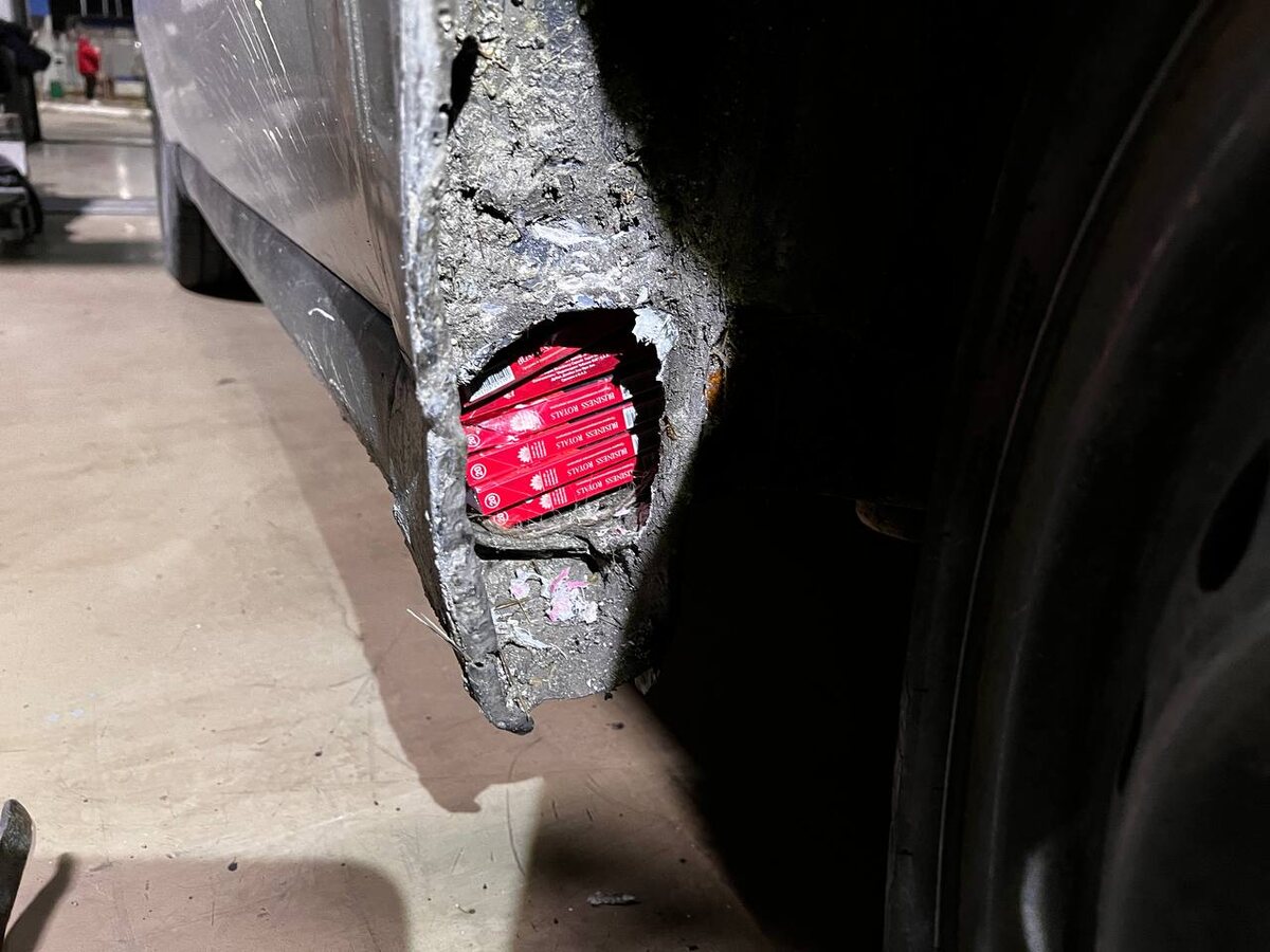    Фото: пресс-служба сочинской таможни