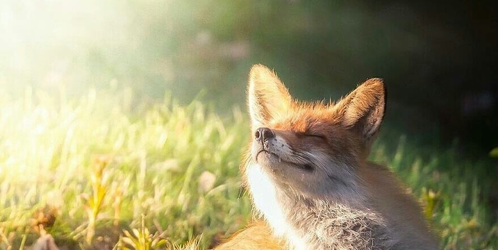 Энергия солнца.