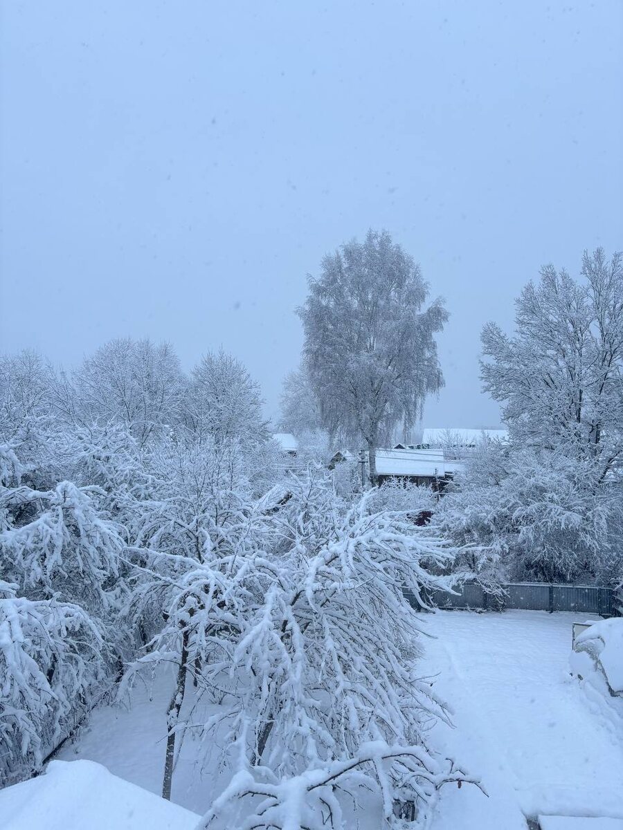В такую погоду даже старый турник завораживает своей красотой 