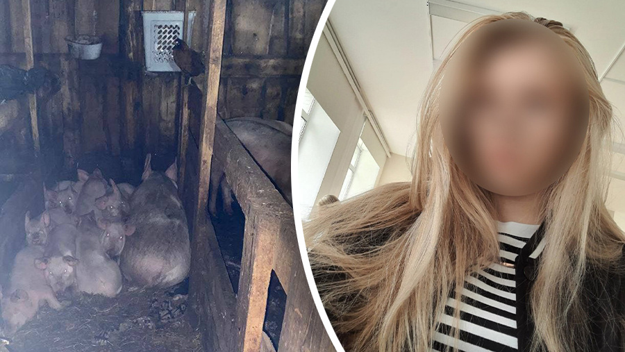 Фото: соцсети / t.me/krpronws