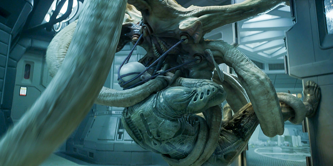 30 видов ксеноморфов из 'Чужого': от классических до редких