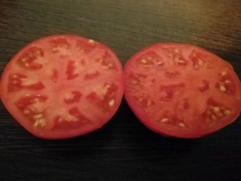 Томат Монгольский карлик, многие его ругают, а у меня растет сладким и мясистым, фото автора