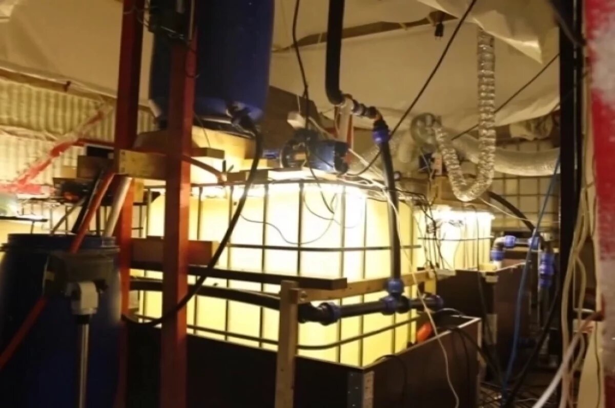    Полтонны наркотиков на 1,5 млрд рублей изъяли из лаборатории под Гатчиной