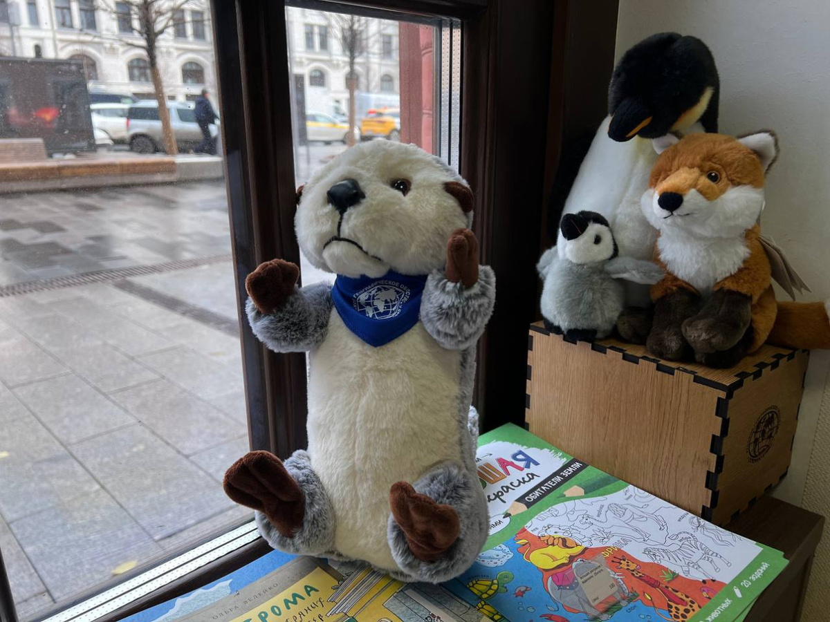 Мама-калан с детенышем. Фото: Алексей Перелыгин, участник конкурса РГО "Самая красивая страна"