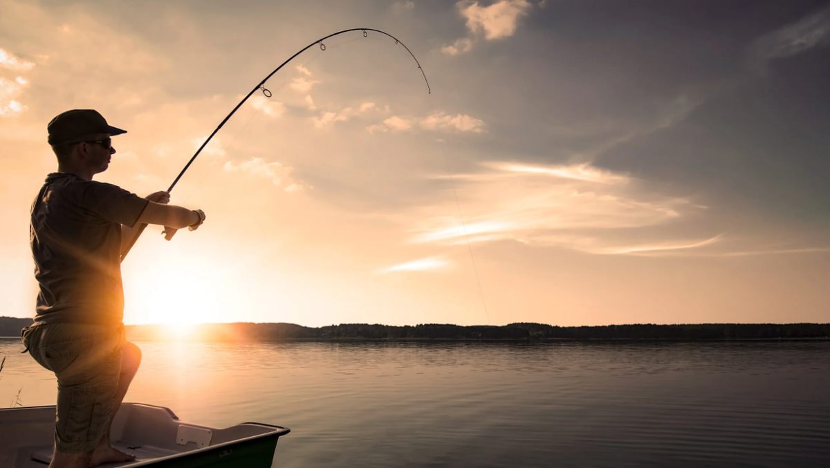 фото с ресурса Яндекс картинки