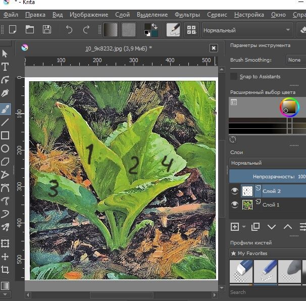 4 вида света на листьях