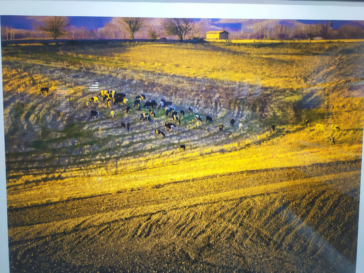 Фото автора.