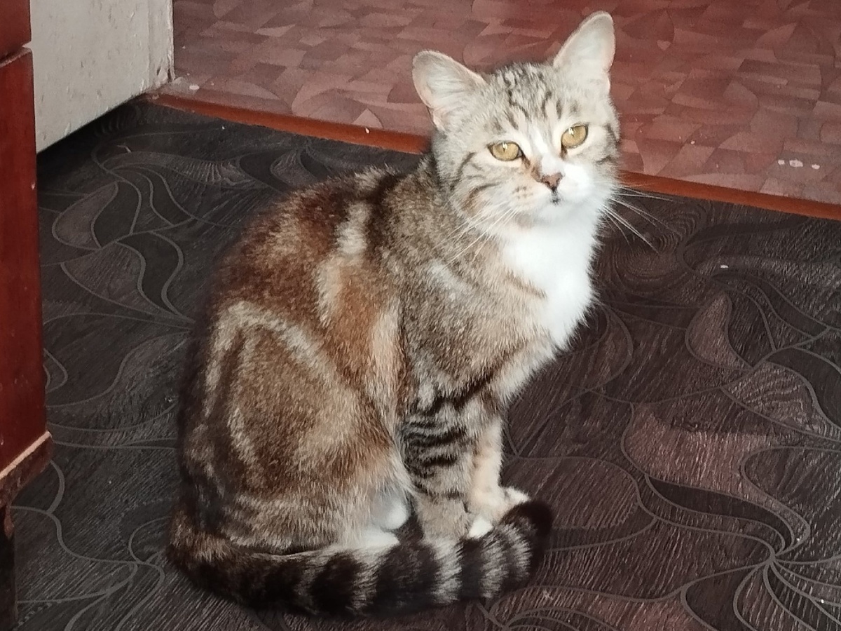 Мы счиьали её идеальной, но Габи оказалась с претензиями