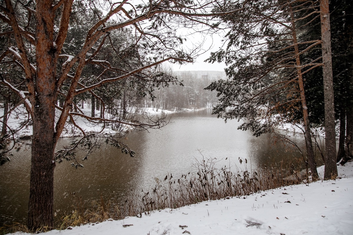    Жители Югры могут выбрать тему 2025 года