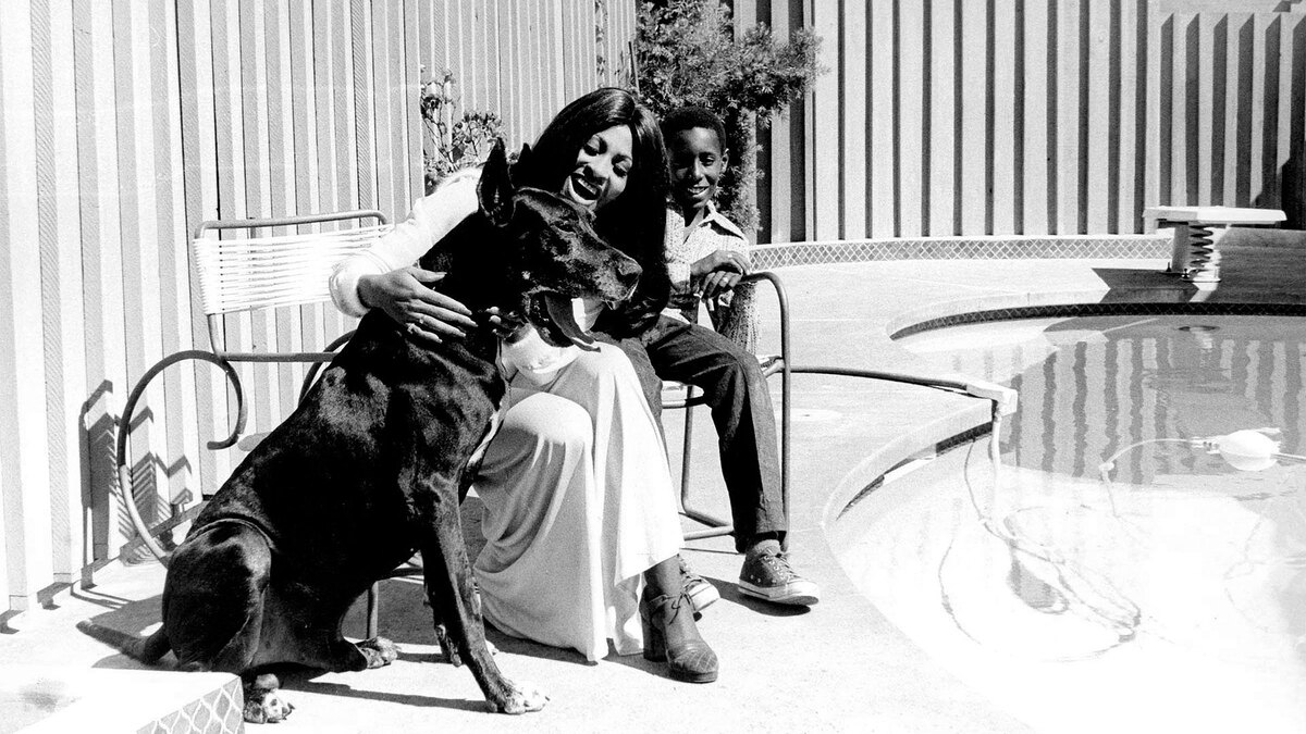 Bob Lucas / Keystone Press Agency / Global Look Press📷В 1978 году Тёрнер уходит от мужа после 16 лет брака. Позже в автобиографии певица рассказала об издевательствах и побоях, которые она терпела все эти годы от супруга, который принимал запрещенные вещества. Сбегает Тёрнер от него прямо во время гастрольного тура, все издержки организаторов она берет на себя