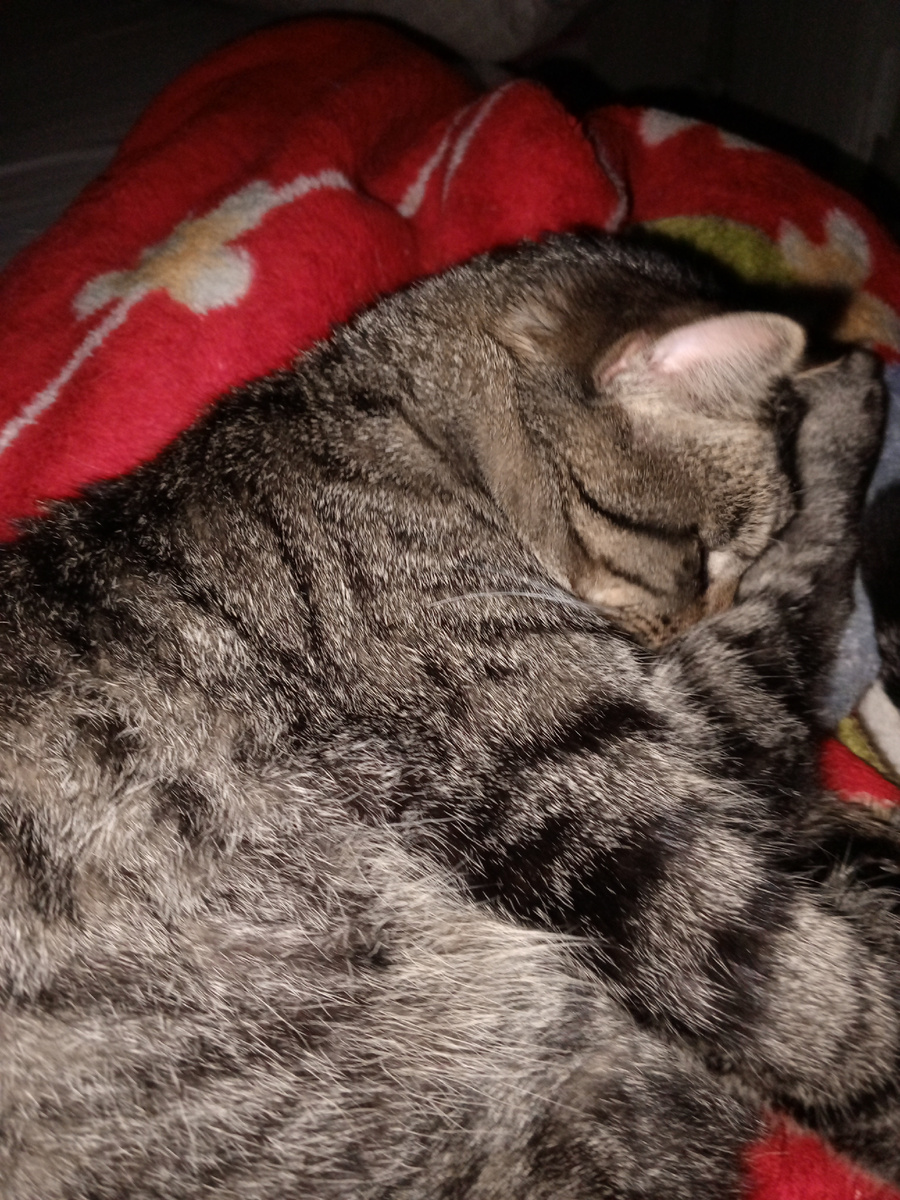 Спит, нагулялся