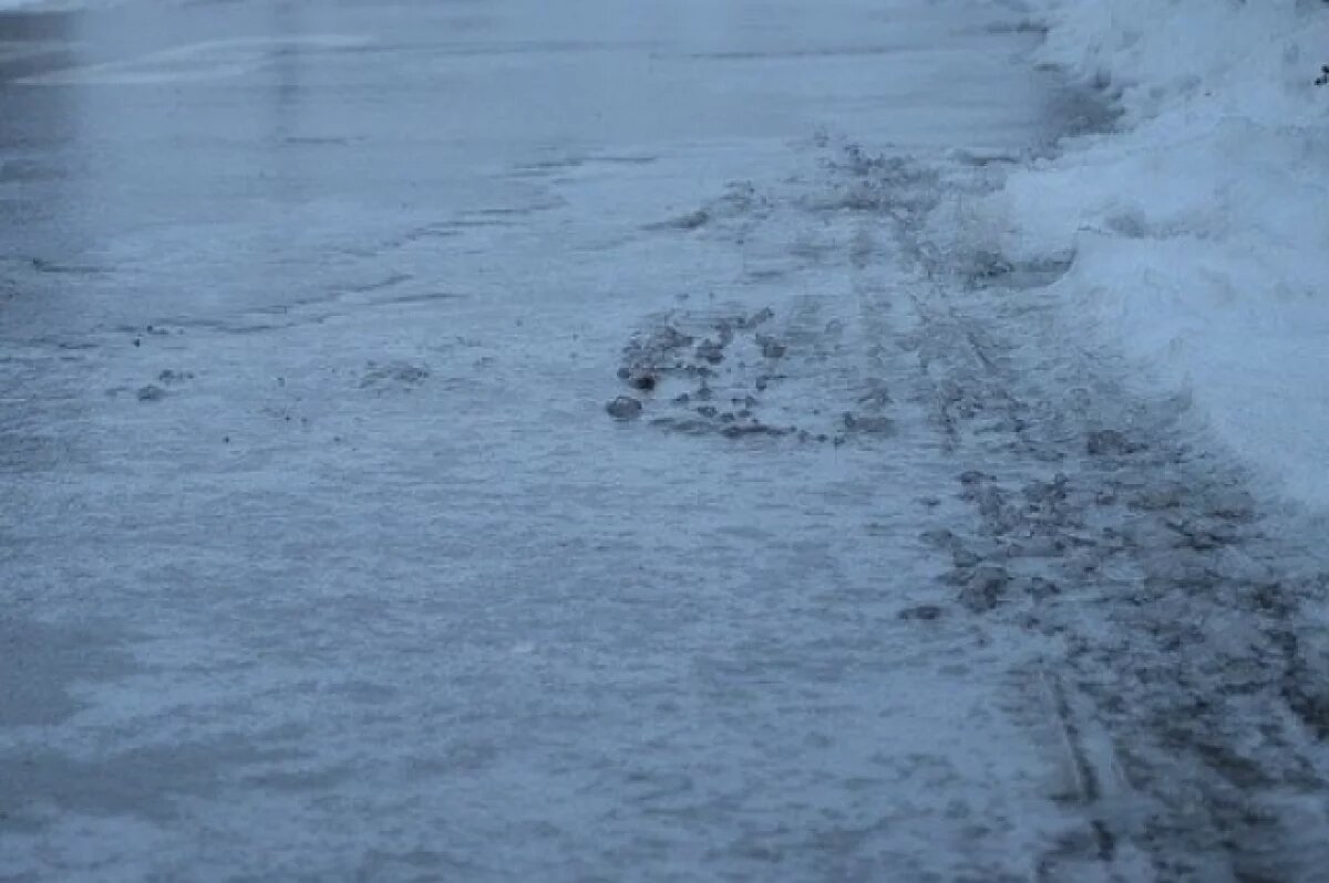    В Ярославле женщина, упавшая на скользкой дороге, получит 200 тысяч рублей