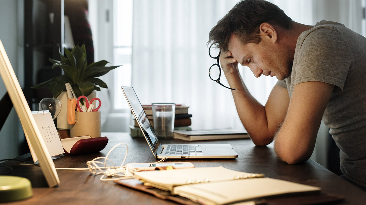 Фото взято из источника - https://cdn.forbes.ru/forbes-static/c/1824x1026/new/2024/08/1GettyImages-1022030402-kopia-66c36c82a0a91.jpg