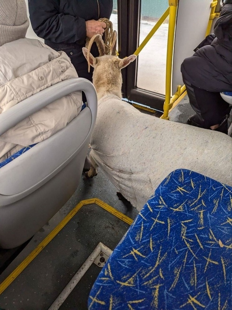     фото со страницы "Ярославль LIVE" ВКонтакте