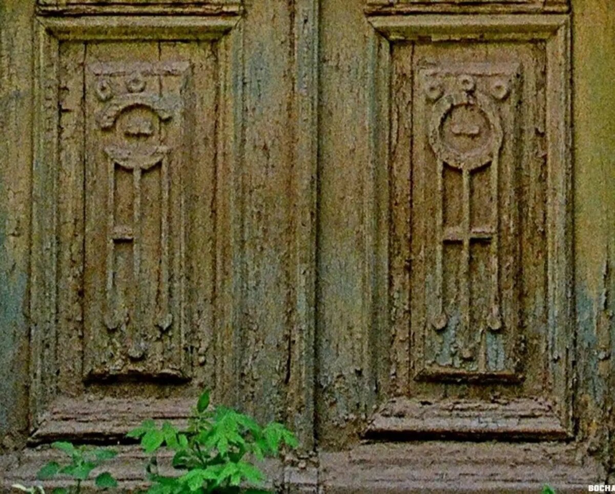     Автор: t.me/moifasad