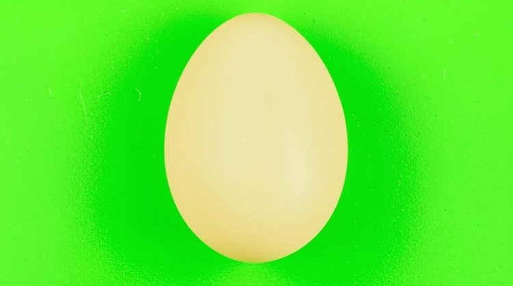    Ученые Тимирязевки для мясного птицеводства апробируют новаторскую методику оценки инкубационных яиц