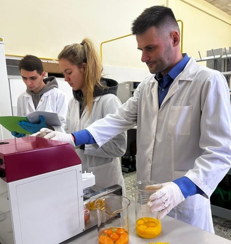     Ученые Тимирязевки для мясного птицеводства апробируют новаторскую методику оценки инкубационных яиц
